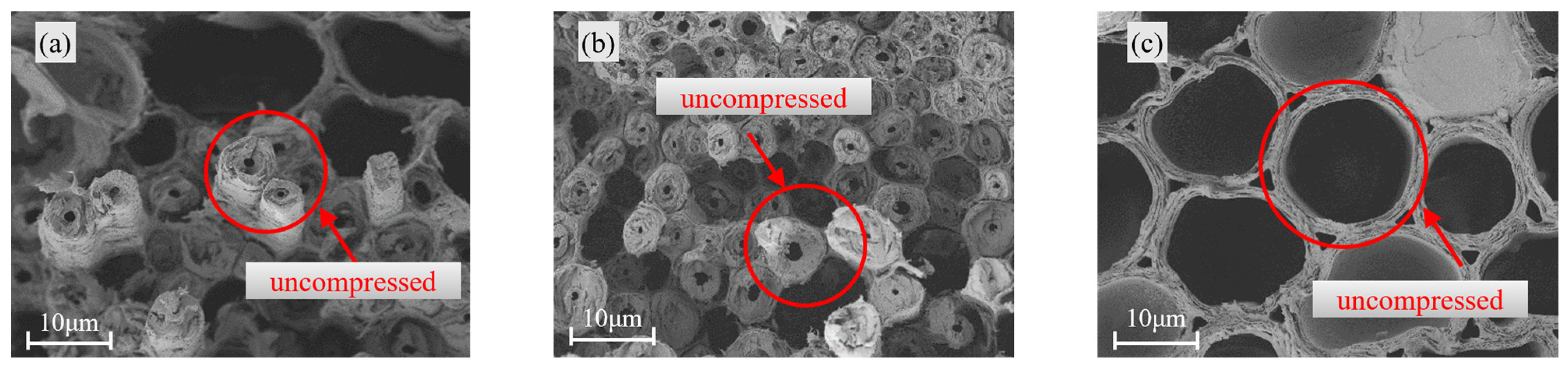 Materials 18 04013 g005 Materials 18 04013 g005