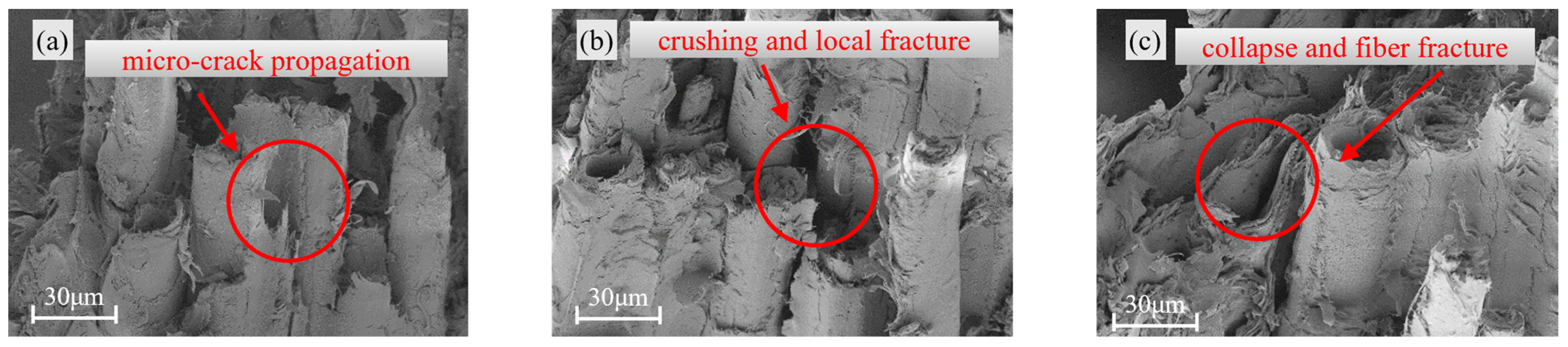 Materials 18 04013 g006 Materials 18 04013 g006