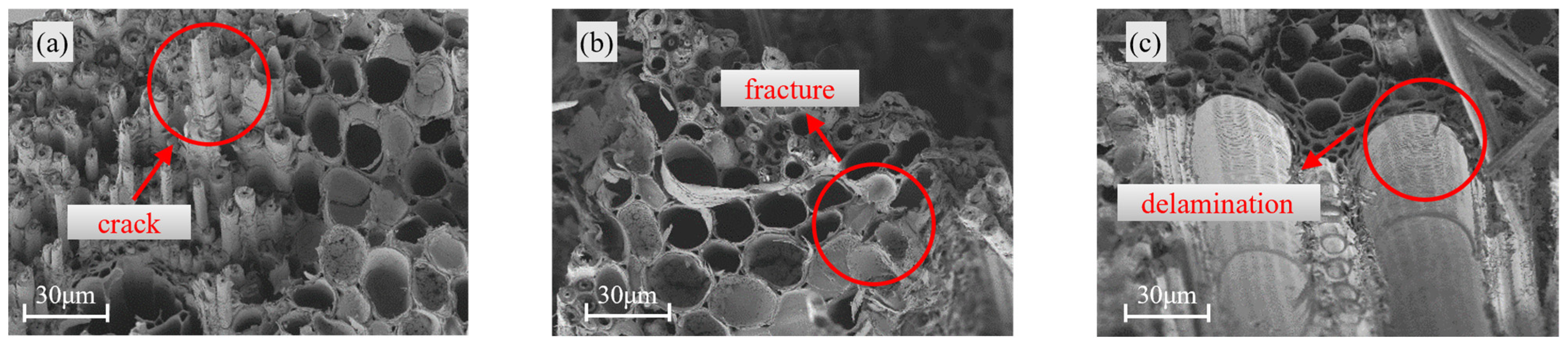 Materials 18 04013 g007 Materials 18 04013 g007