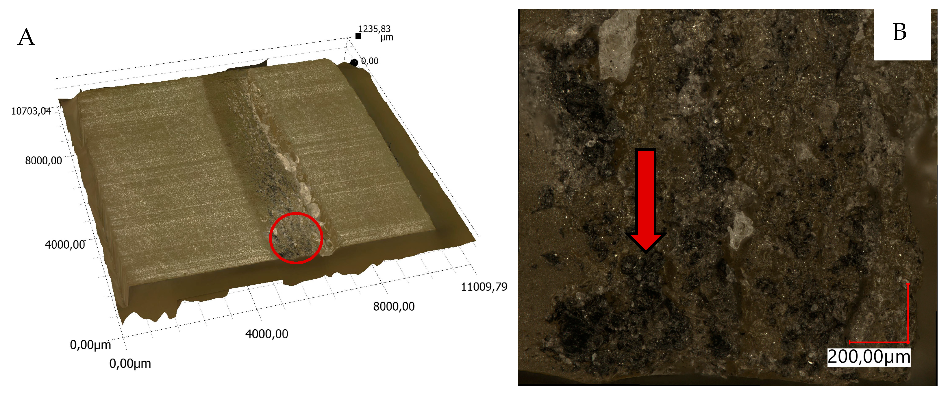 Materials 18 04038 g010