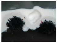 Materials 18 04041 i001 Materials 18 04041 i001