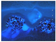 Materials 18 04041 i002 Materials 18 04041 i002