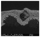 Materials 18 04041 i003 Materials 18 04041 i003