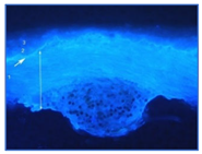 Materials 18 04041 i005 Materials 18 04041 i005