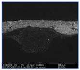 Materials 18 04041 i006 Materials 18 04041 i006