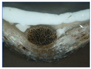 Materials 18 04041 i007 Materials 18 04041 i007