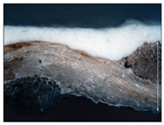 Materials 18 04041 i010 Materials 18 04041 i010