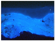 Materials 18 04041 i011 Materials 18 04041 i011