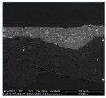 Materials 18 04041 i012 Materials 18 04041 i012