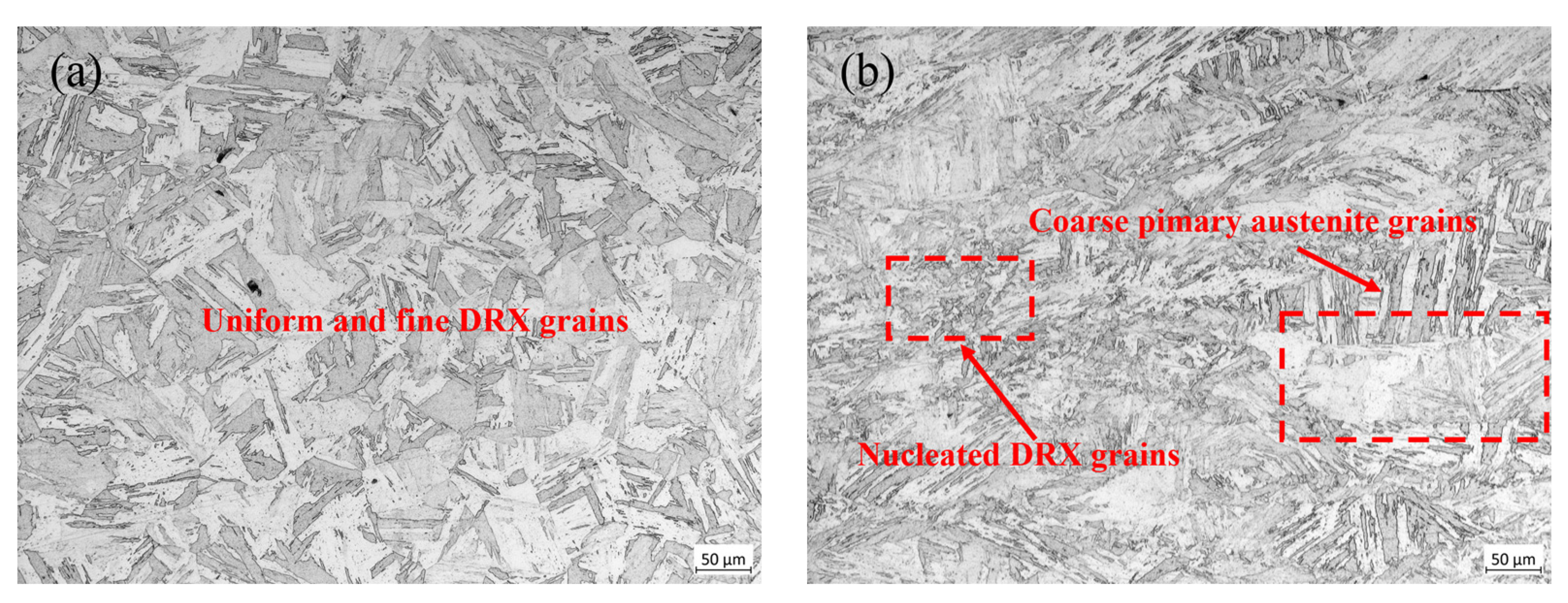 Materials 18 04047 g004