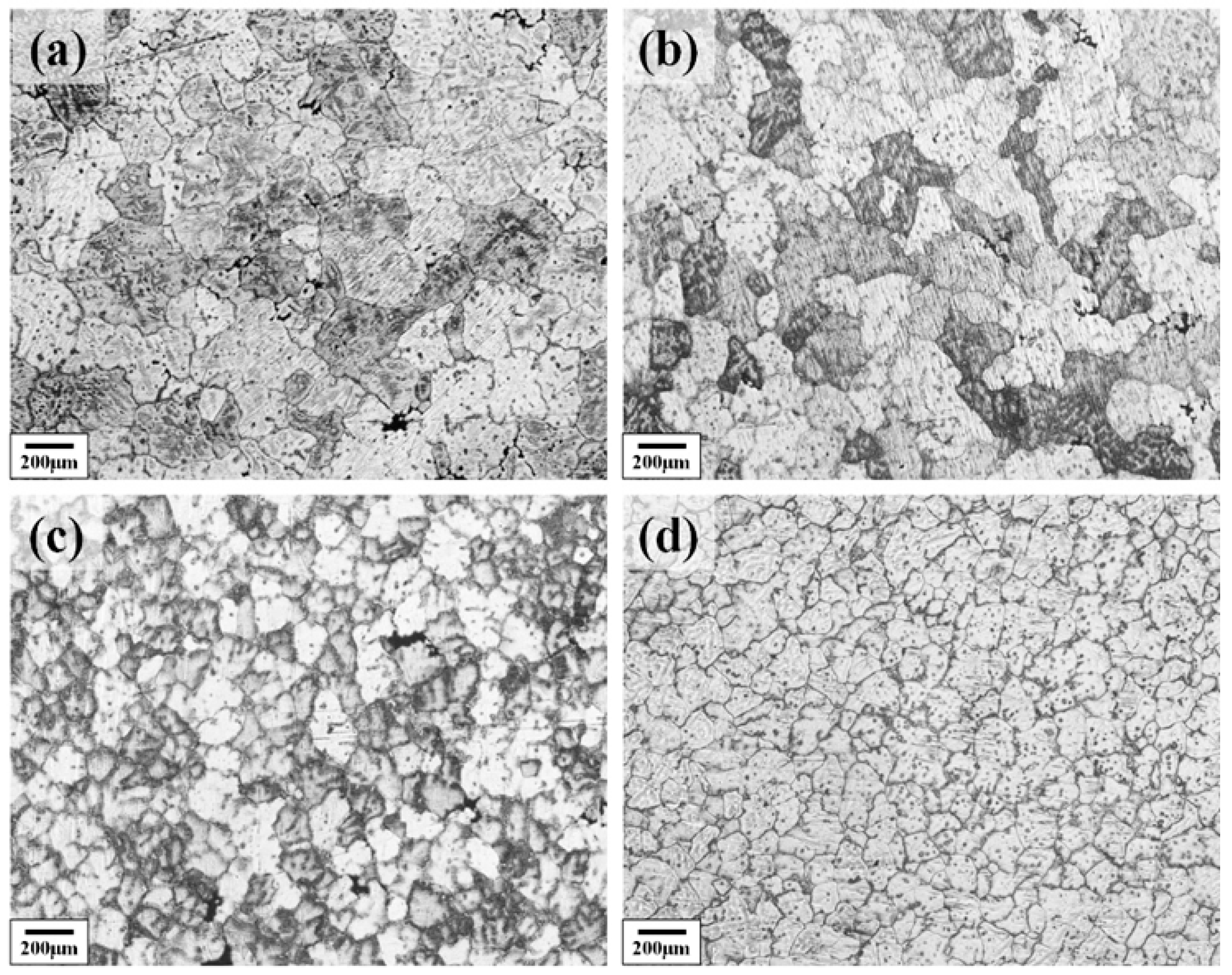 Materials 18 04062 g002