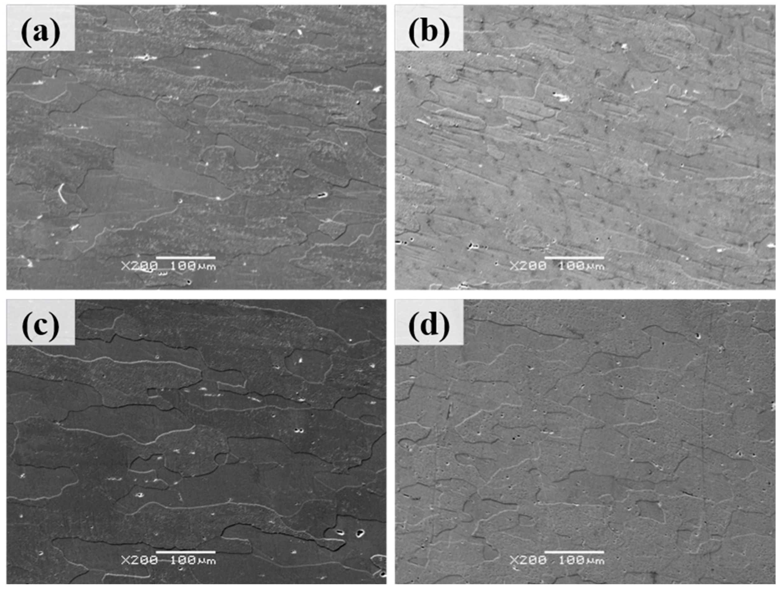 Materials 18 04062 g004