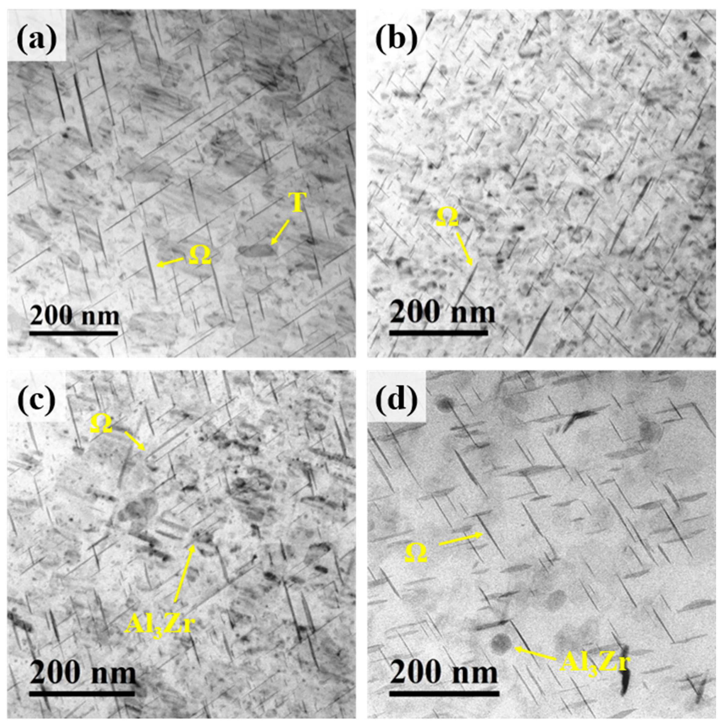 Materials 18 04062 g007