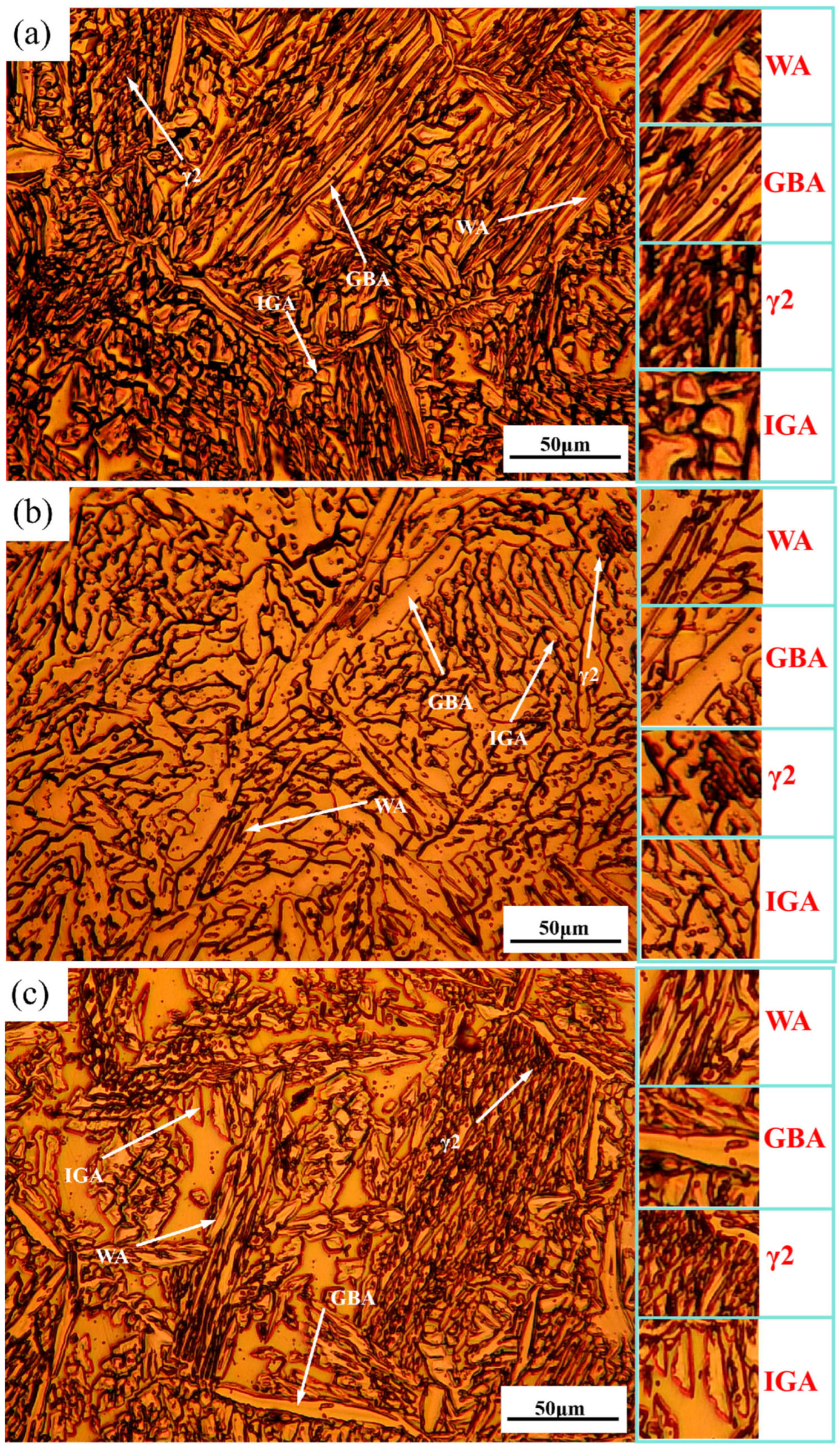 Materials 18 04066 g002