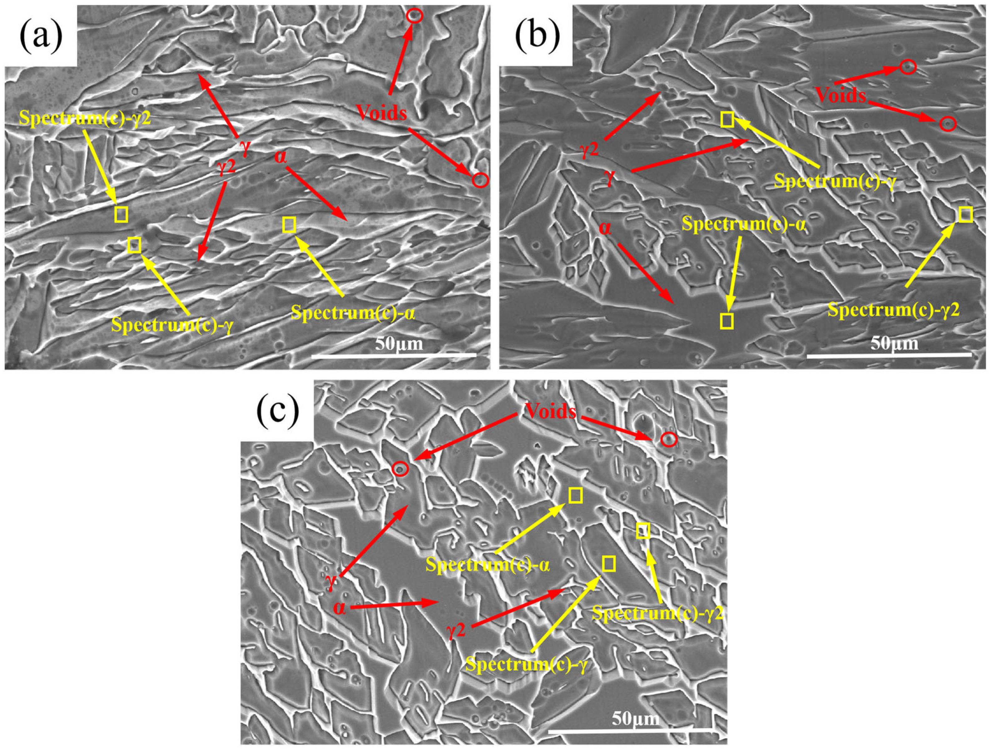 Materials 18 04066 g003