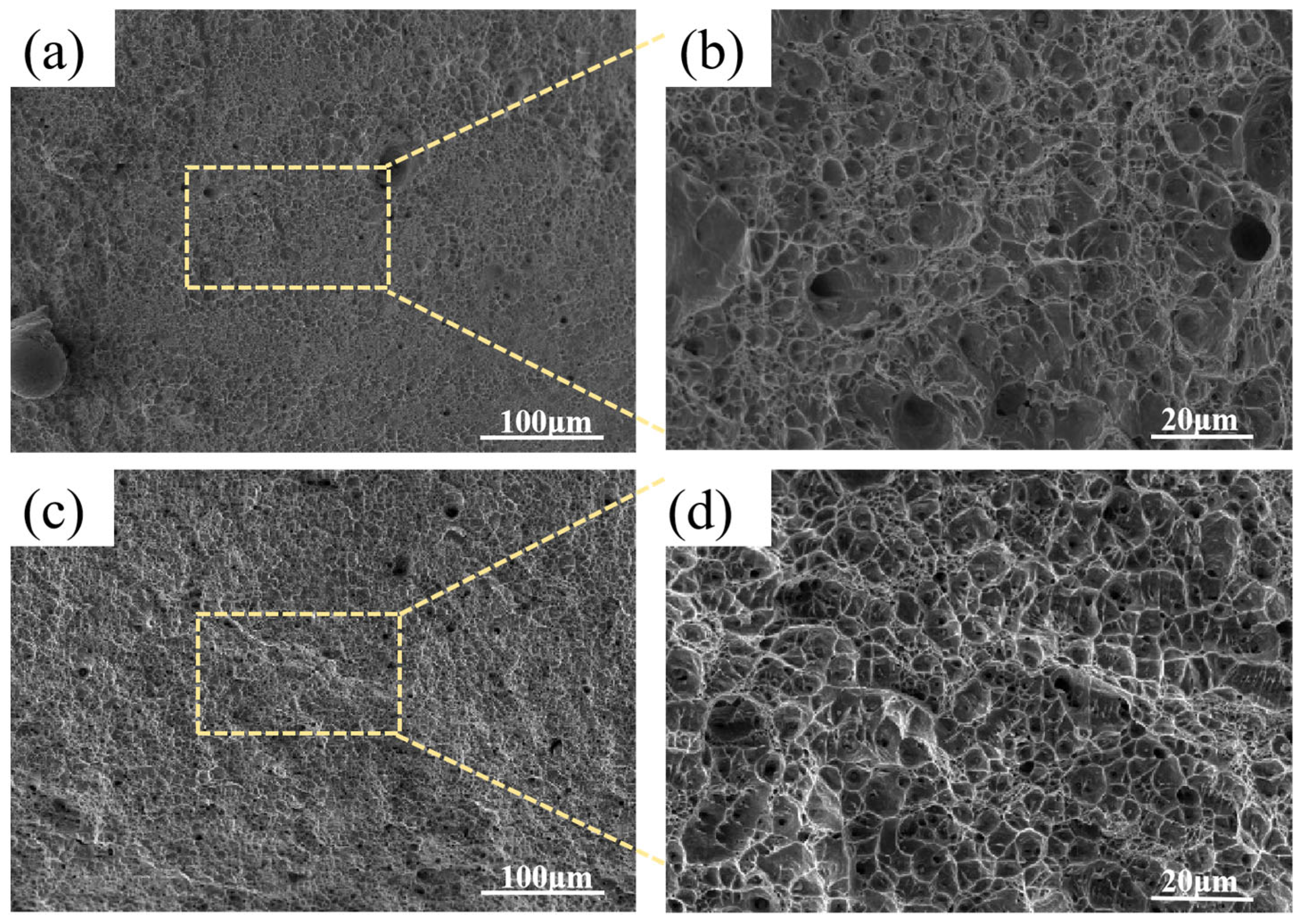 Materials 18 04066 g009