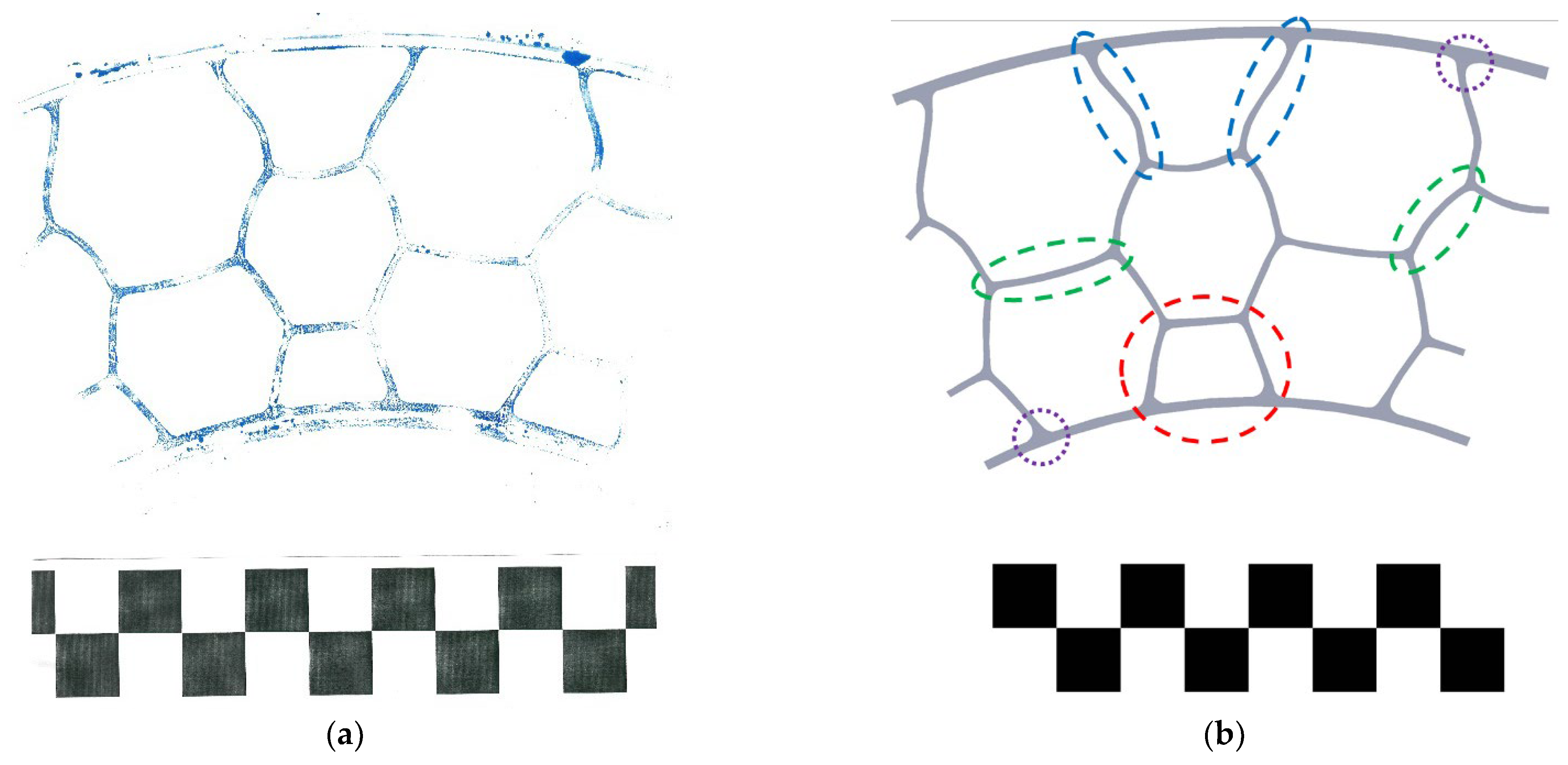 Materials 18 04107 g005 Materials 18 04107 g005