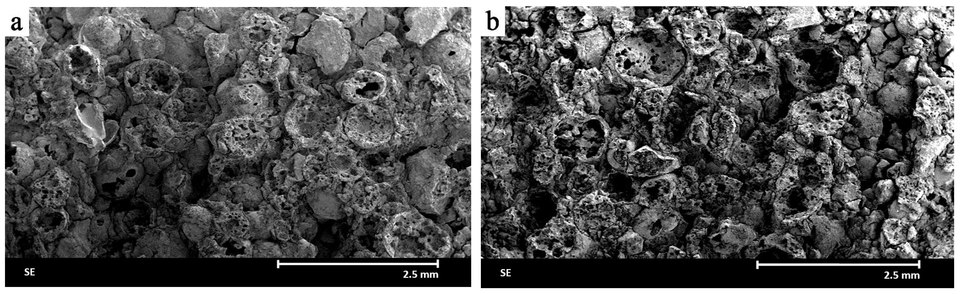 Materials 18 04144 g004 Materials 18 04144 g004