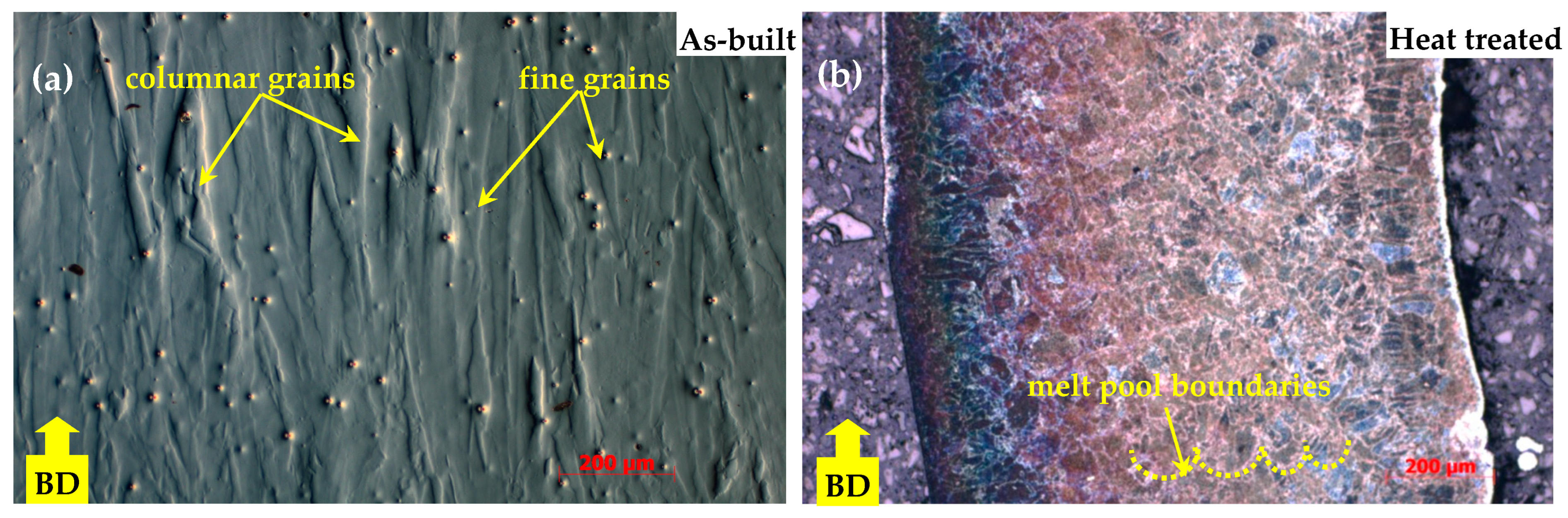 Materials 18 04149 g005