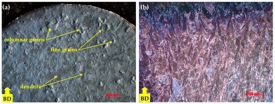Materials 18 04149 g007