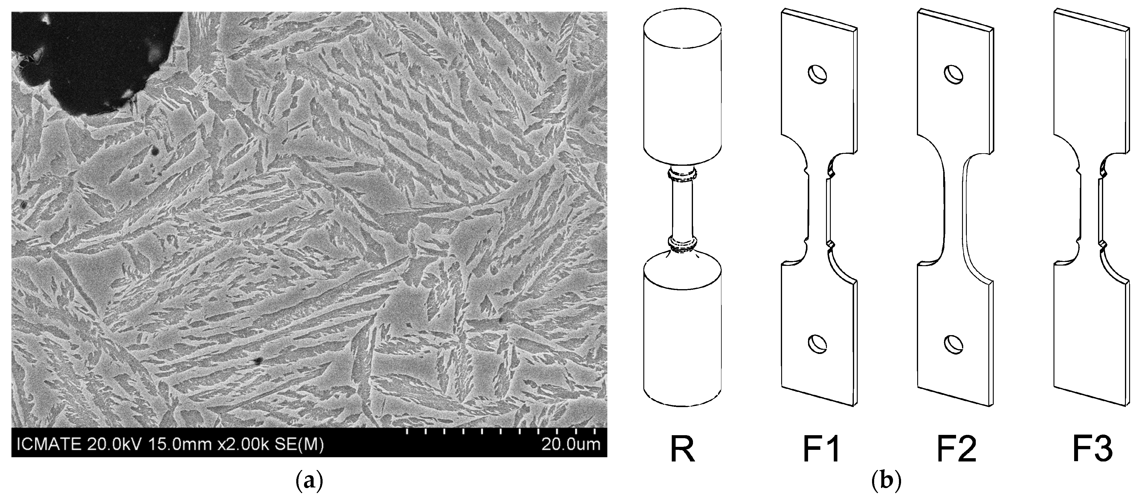 Materials 18 04359 g001 Materials 18 04359 g001