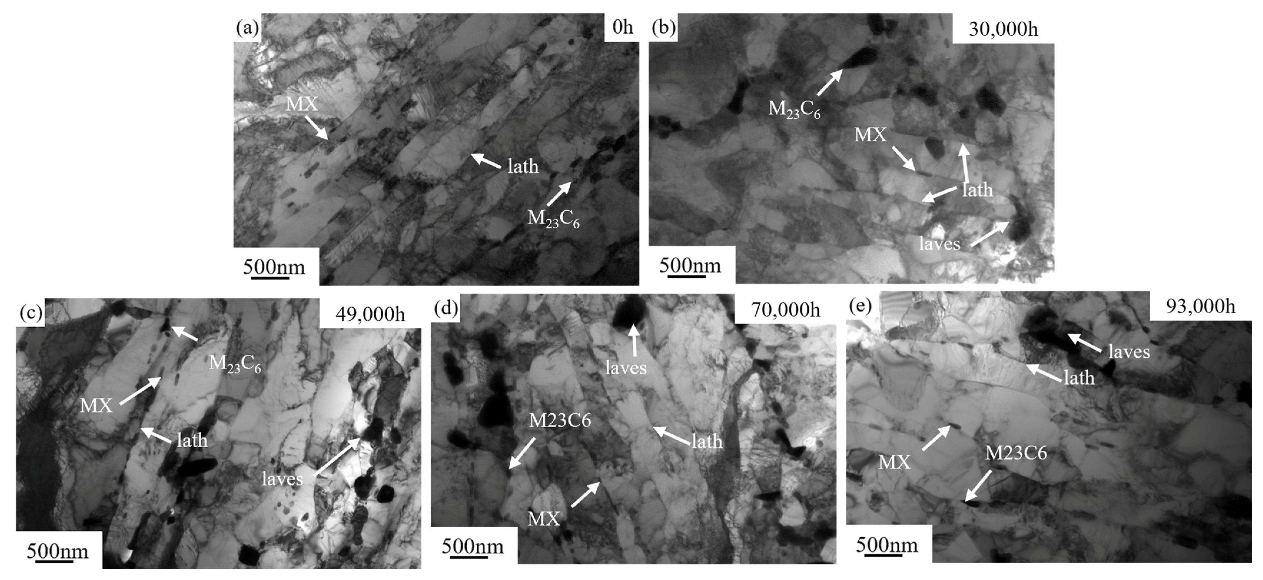 Materials 18 04432 g007