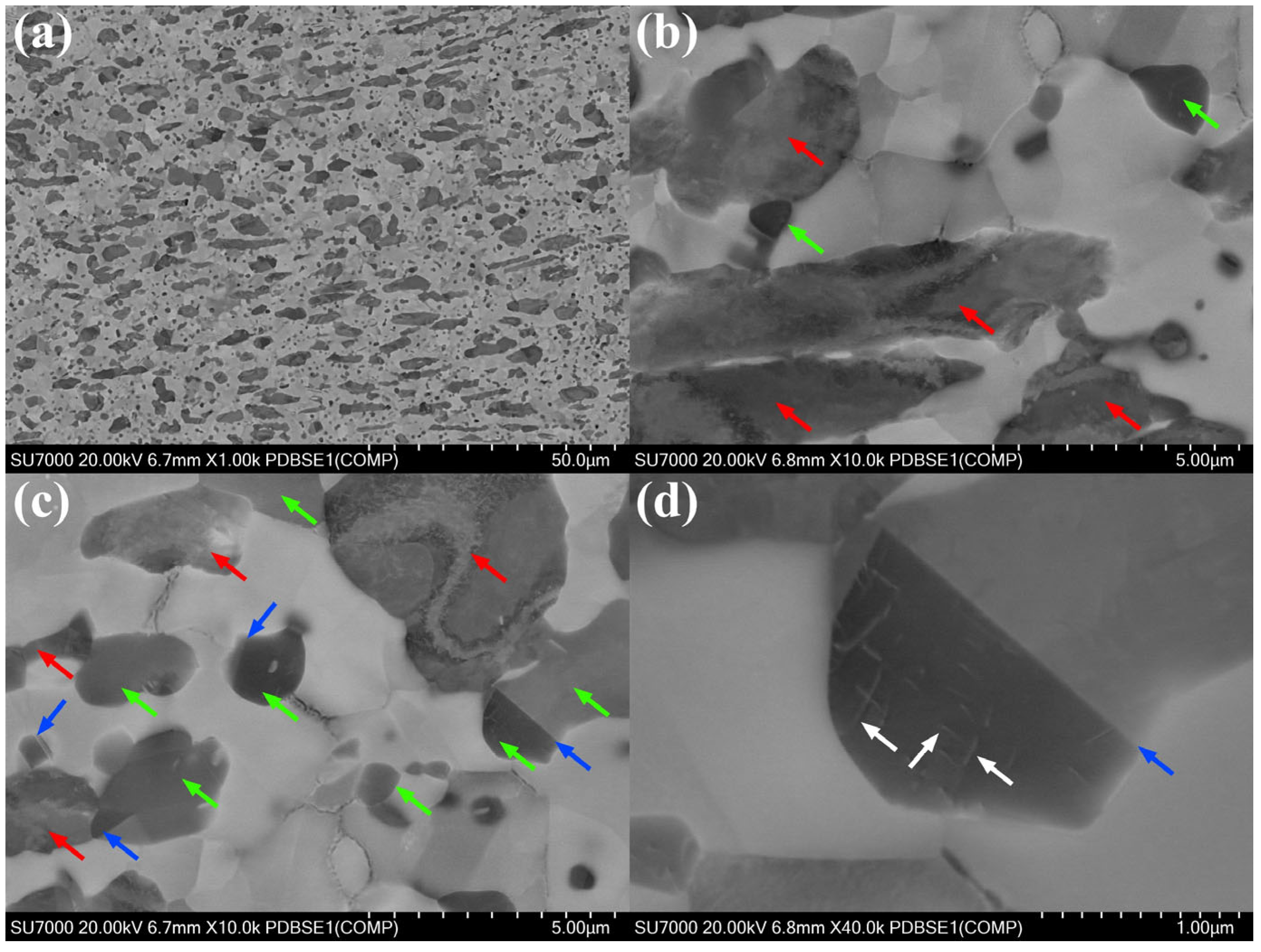 Materials 18 04459 g010