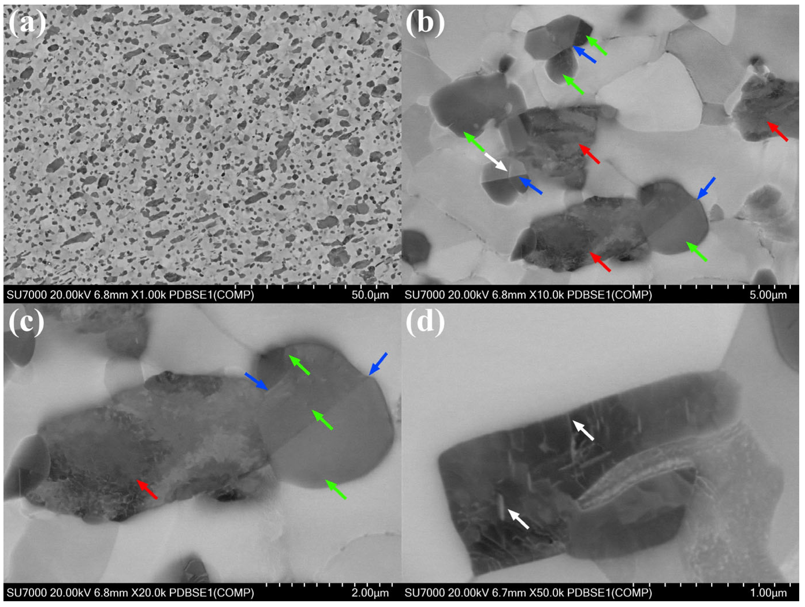 Materials 18 04459 g011