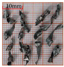 Materials 18 04460 i004