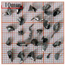 Materials 18 04460 i010