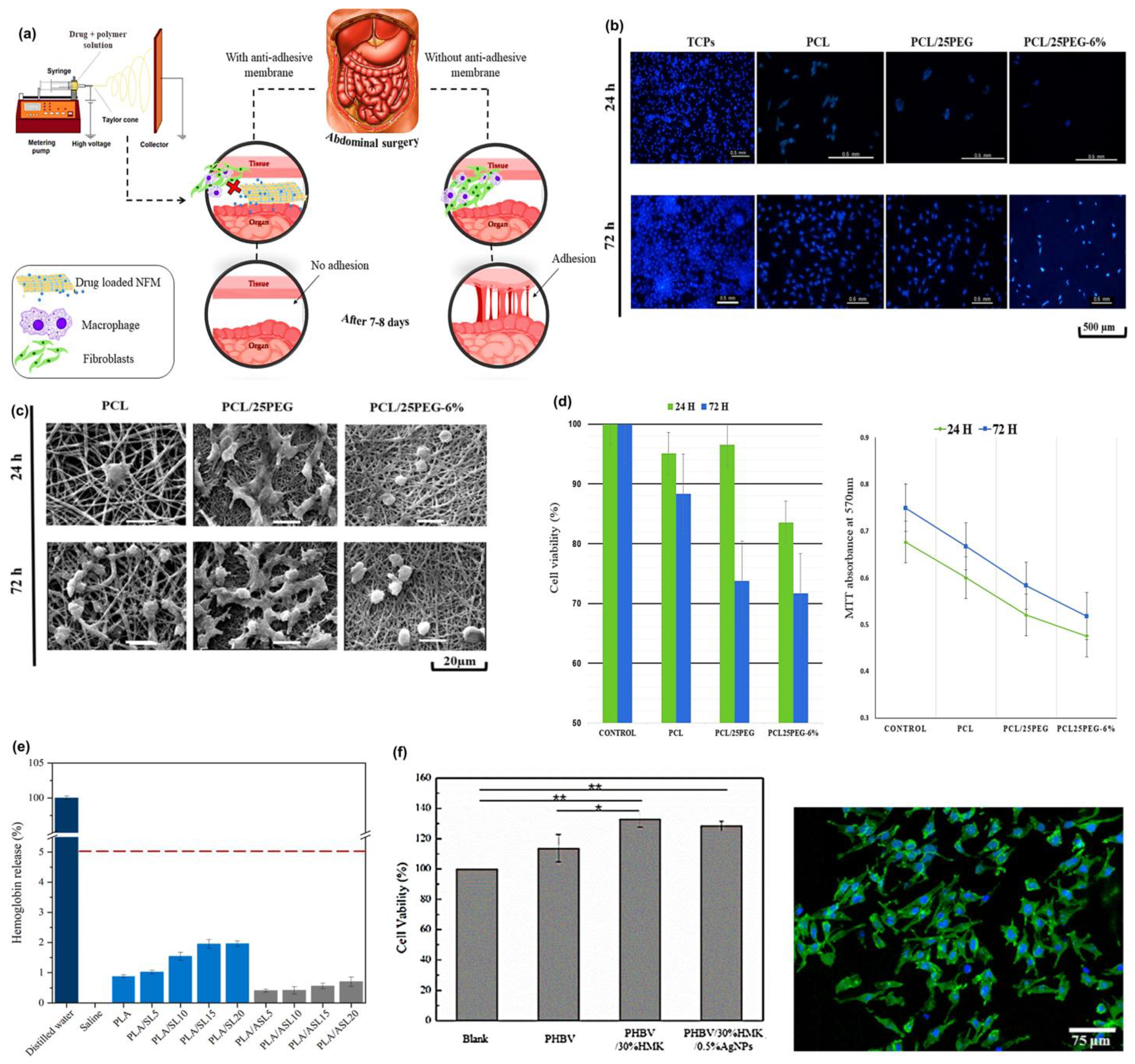 Materials 18 04485 g006