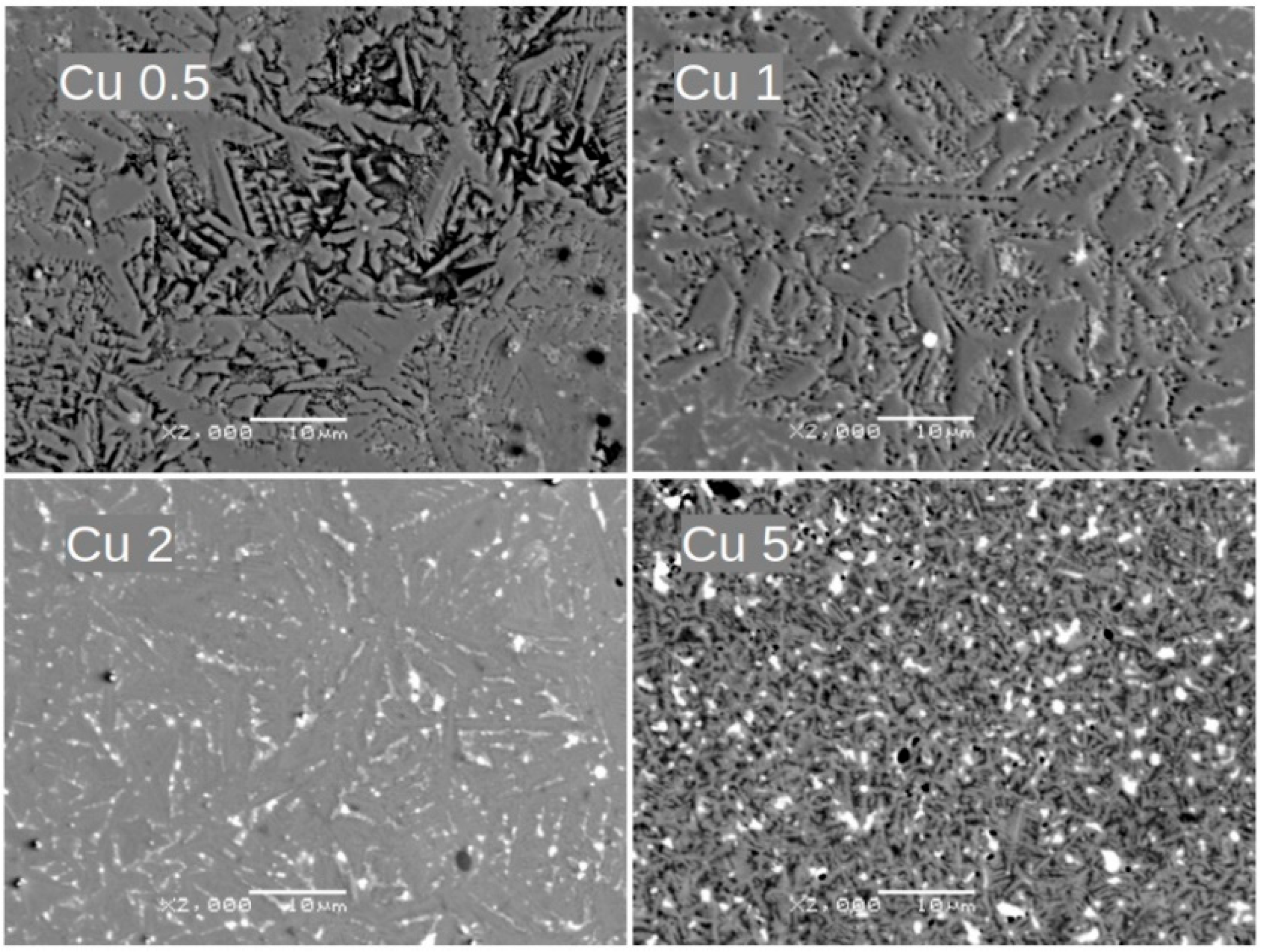 Materials 18 04508 g006