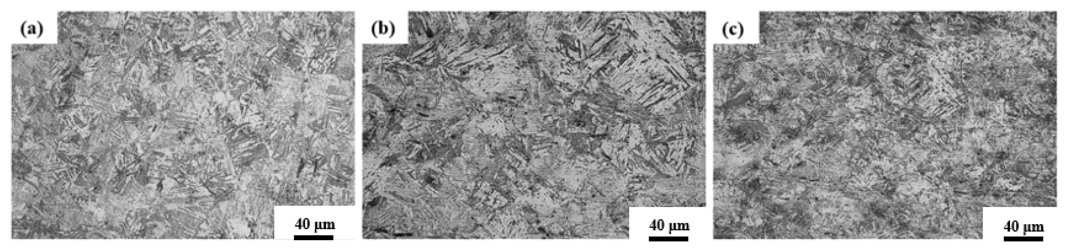 Materials 18 04513 g003