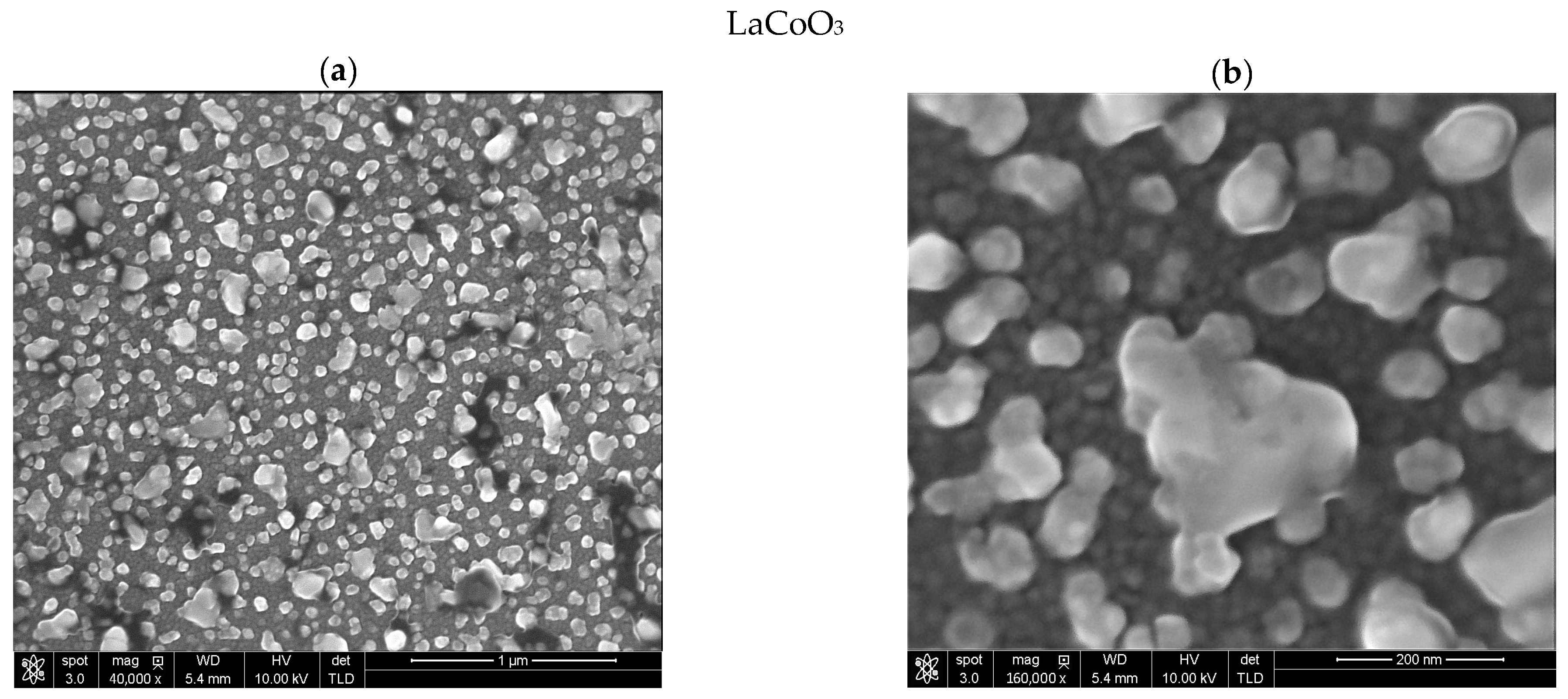 Materials 18 04550 g005a Materials 18 04550 g005a