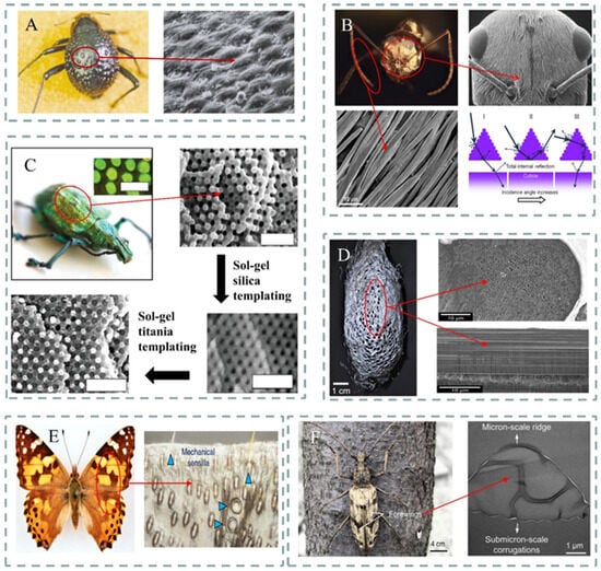 Materials 18 04556 g002