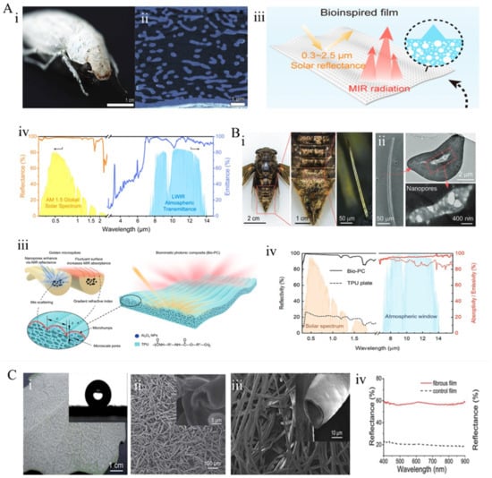 Materials 18 04556 g007