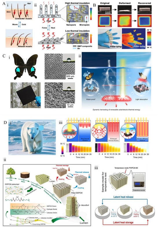 Materials 18 04556 g009