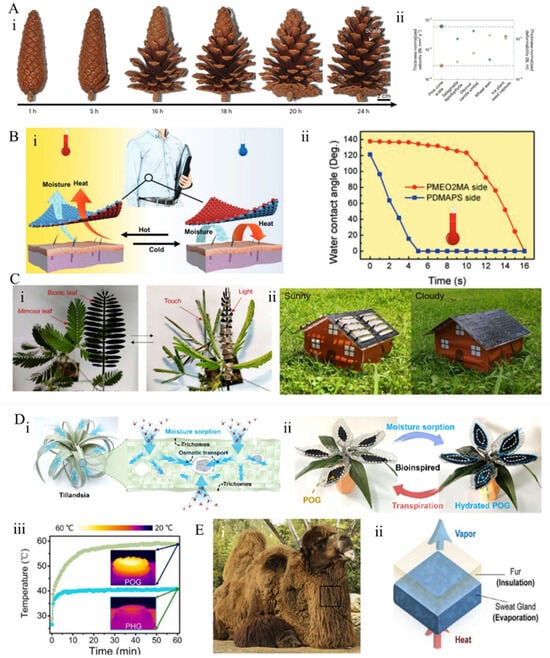 Materials 18 04556 g011