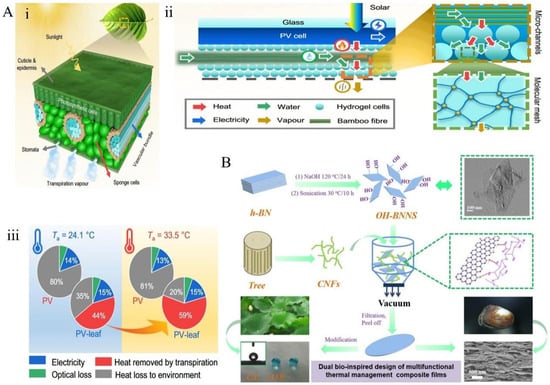 Materials 18 04556 g012