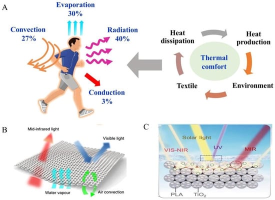 Materials 18 04556 g014