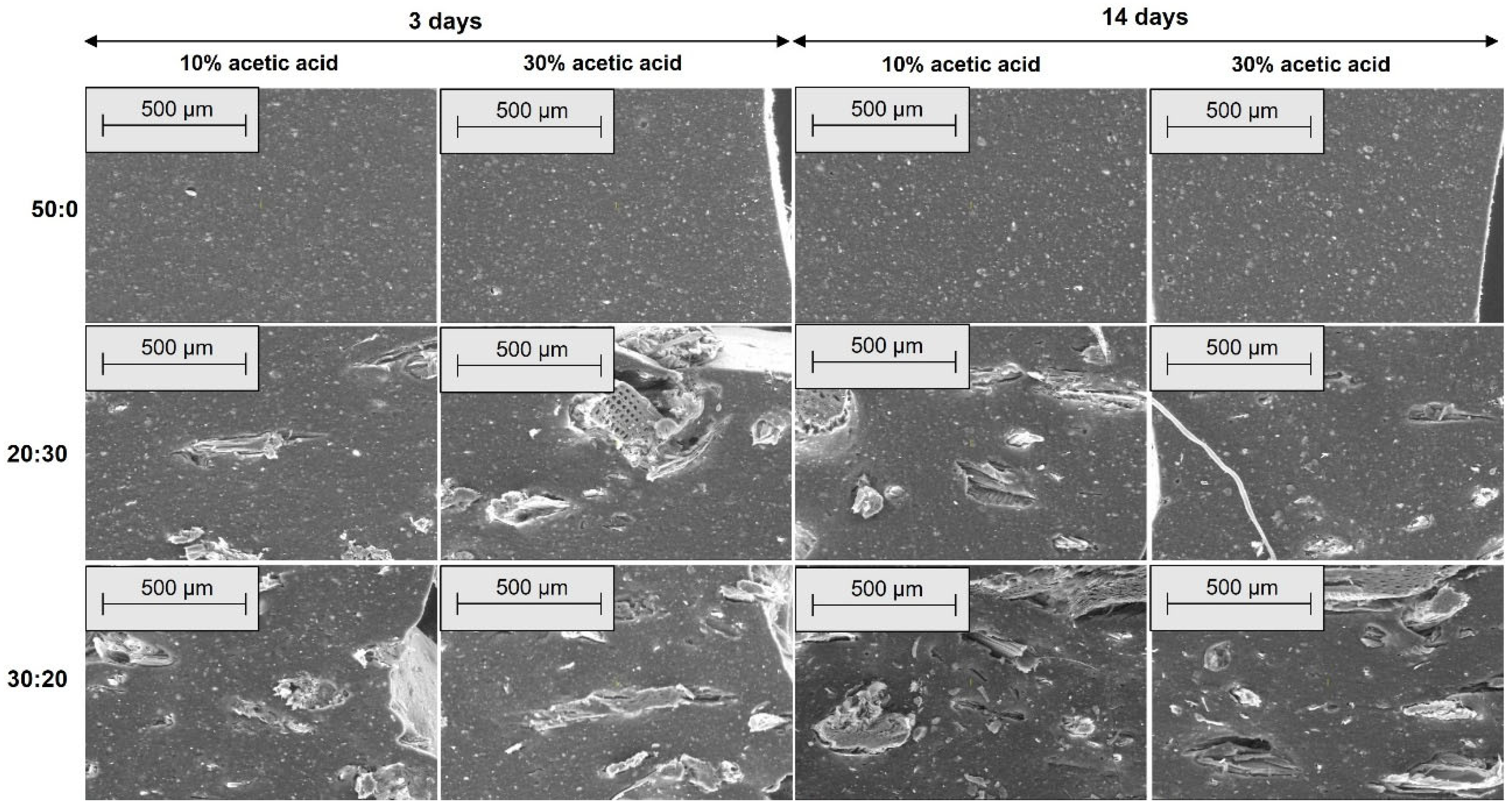 Materials 18 04557 g012 Materials 18 04557 g012