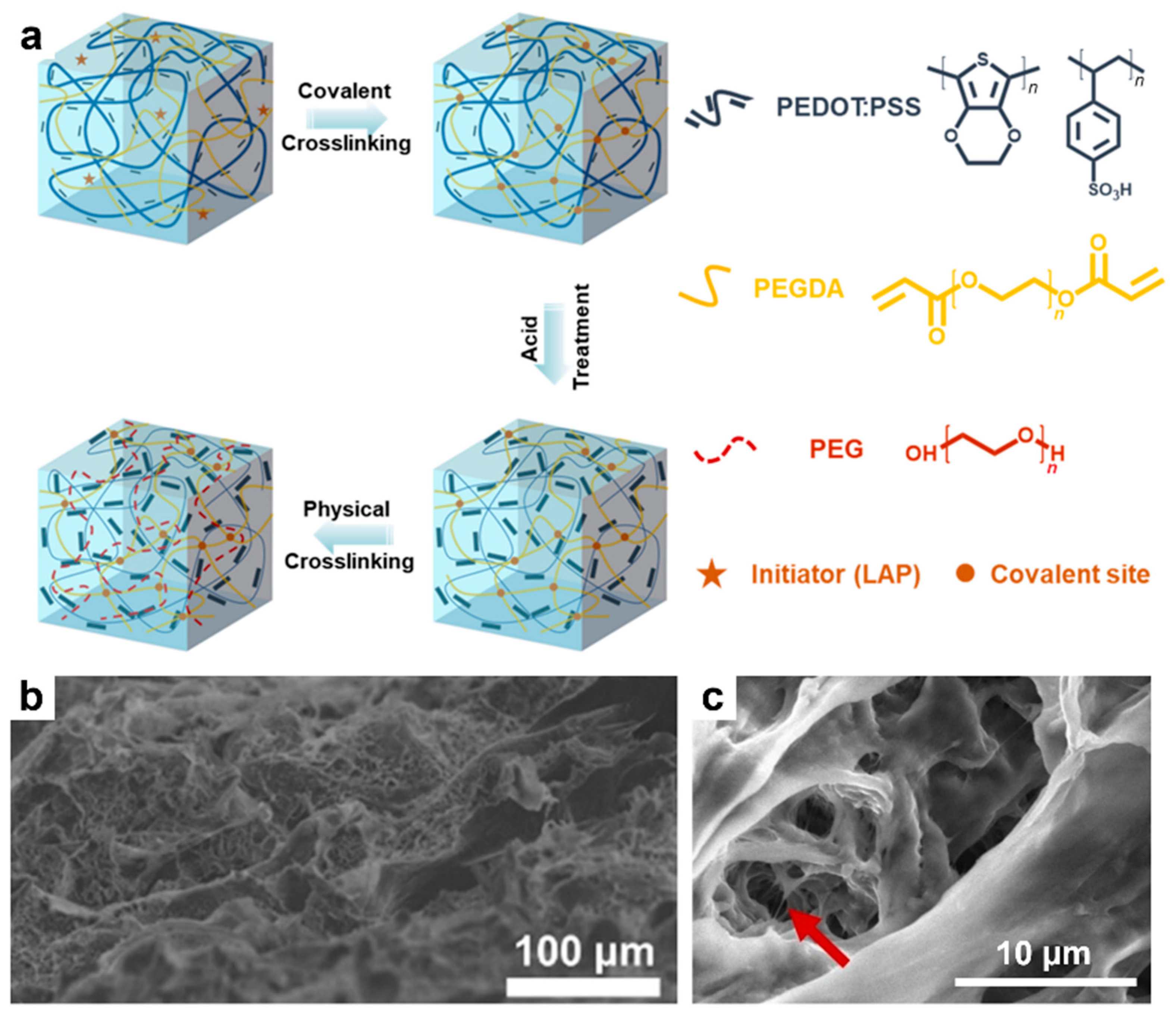 Materials 18 04580 g006