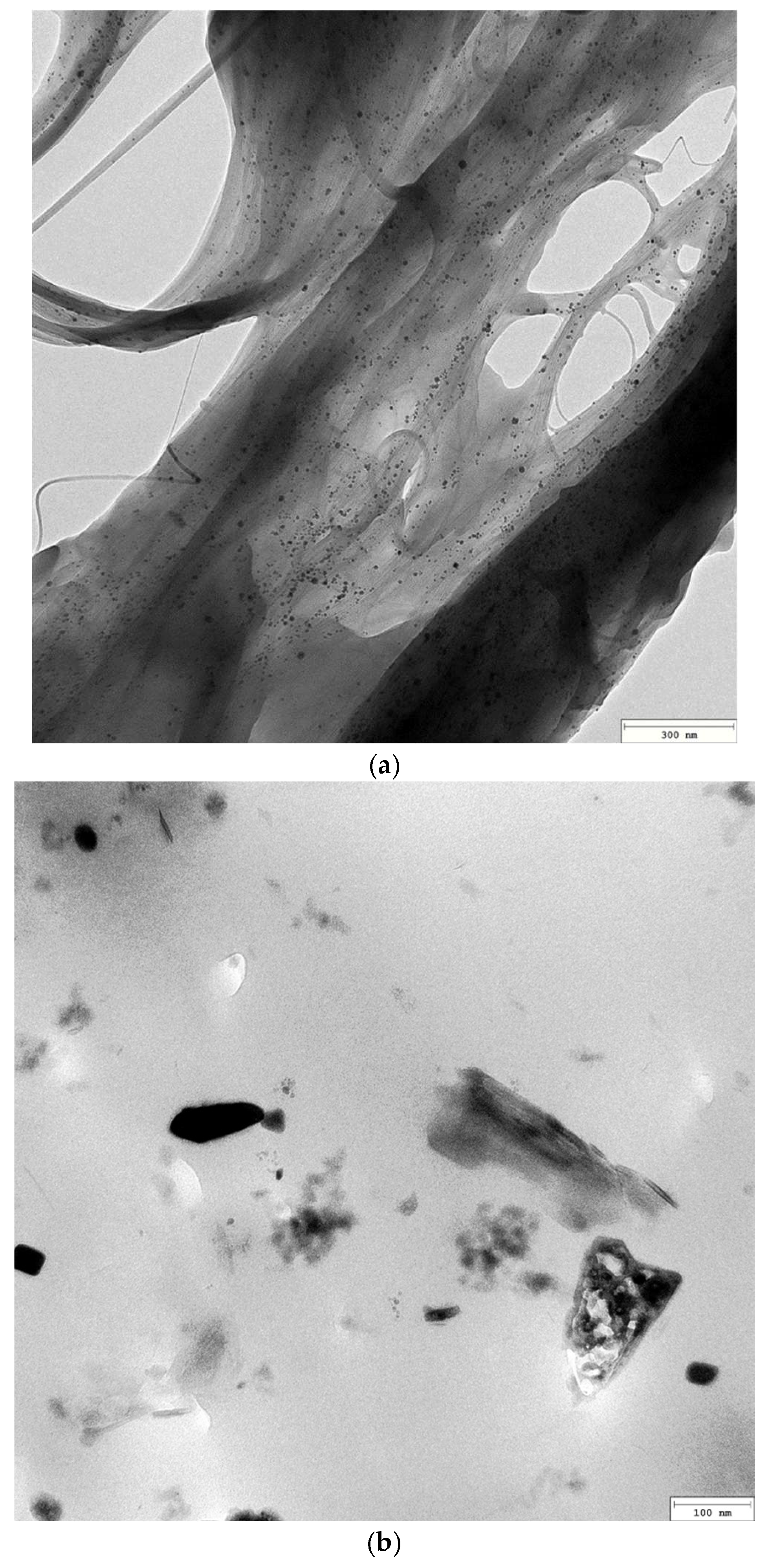 Materials 18 04587 g001a Materials 18 04587 g001a
