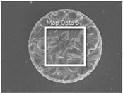 Materials 18 04602 i001 Materials 18 04602 i001