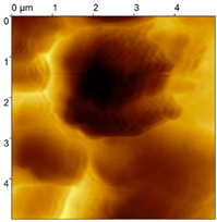 Materials 18 04624 i002 Materials 18 04624 i002