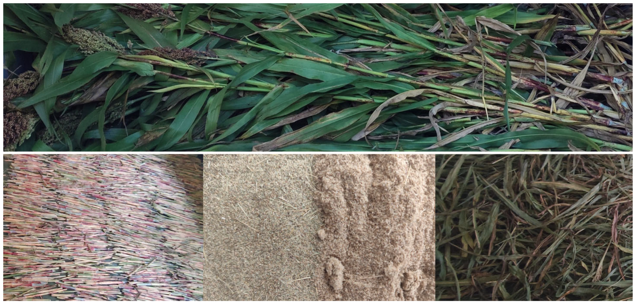 Materials 18 04634 g001 Materials 18 04634 g001