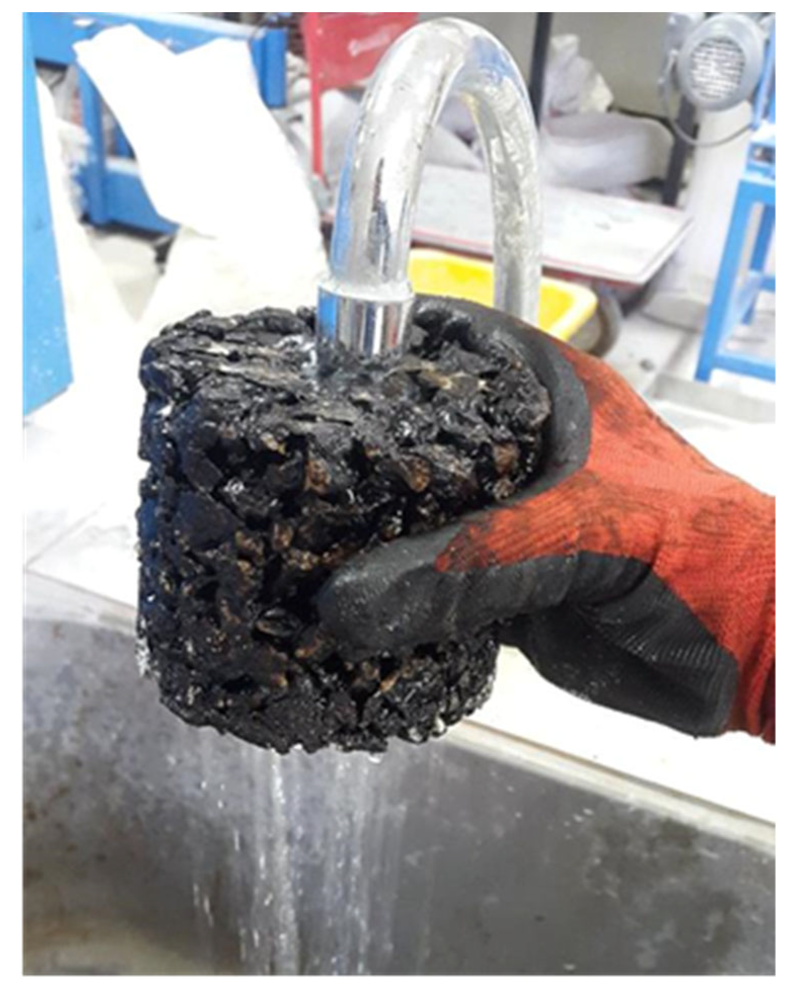 Materials 18 04636 g005