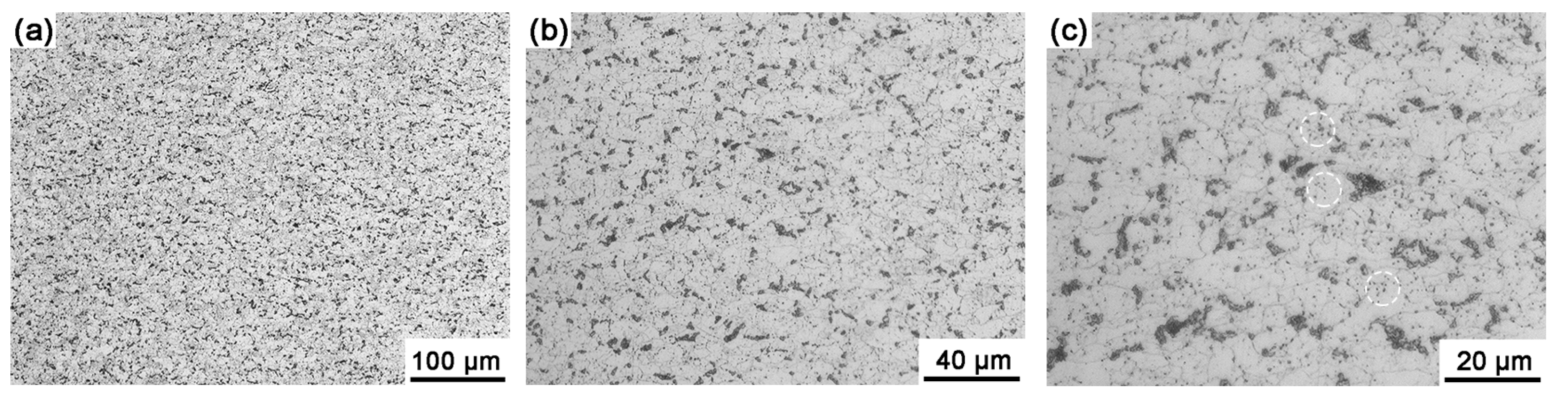 Materials 18 04660 g002