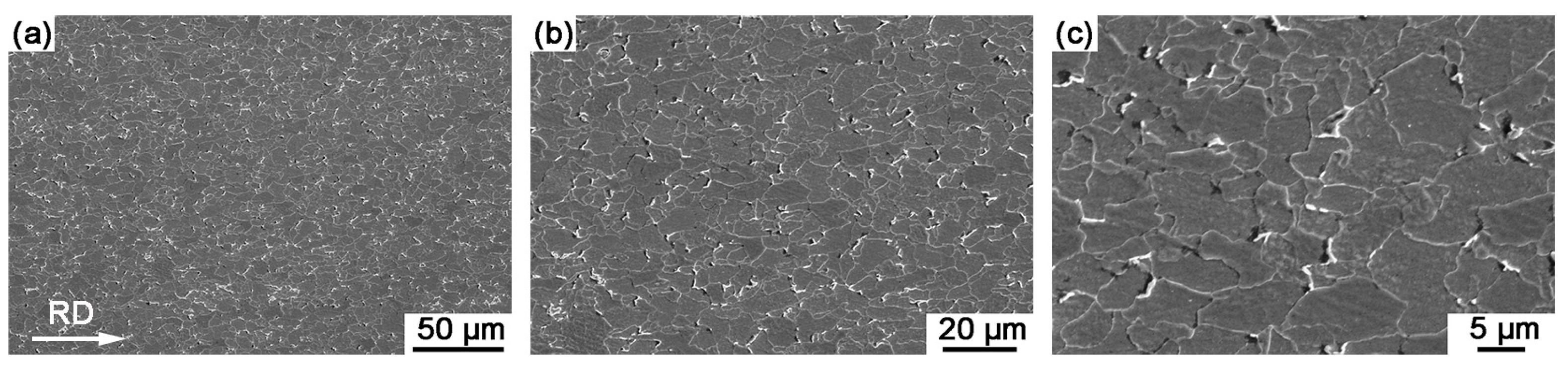 Materials 18 04660 g004