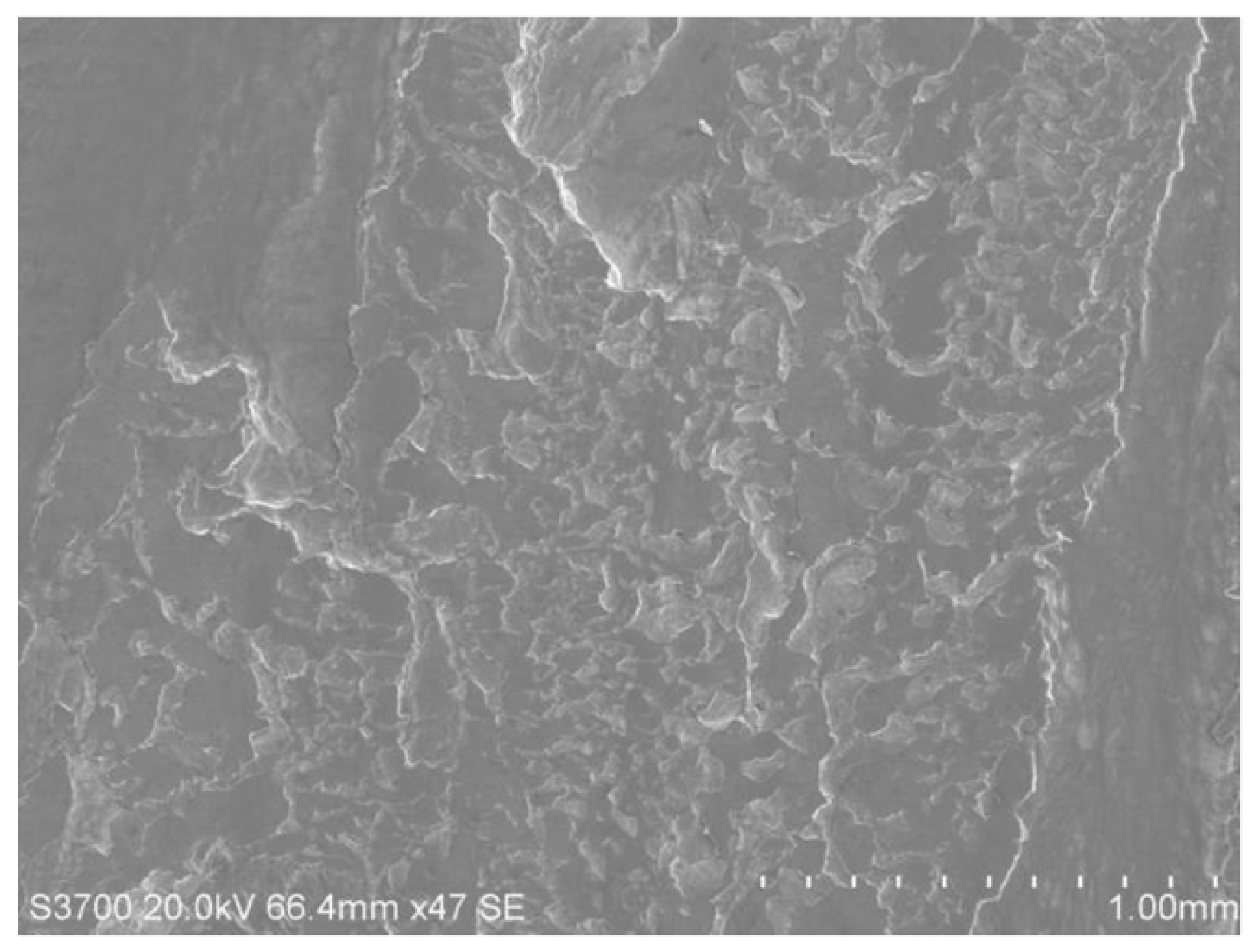 Materials 18 04773 g011 Materials 18 04773 g011